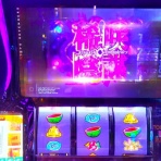 亮磁極回胴夫婦記