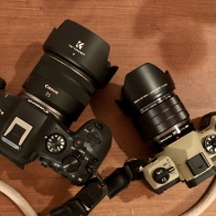 OM-5ⅡとR6Ⅲ