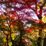 Web東京荏原都市物語資料館