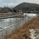 2026年の元旦に際して