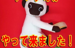 『【制作裏話】草原のマルコ / 大杉久美子』の画像