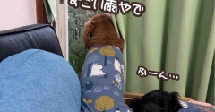 台風まだ来ない。