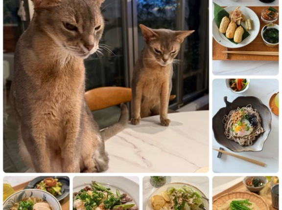 ひとりごはん１週間