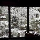 京都検定で総会＆普茶料理を楽しむ【総会報告】