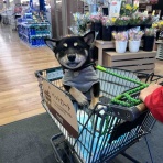 オートクリル　オフィシャルブログ