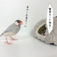怪しい業者がやって来た！