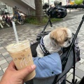 愛犬と一緒に光が丘公園でお散歩。*\(^o^)/*