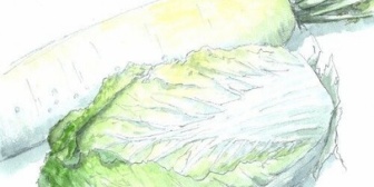 たくさん収穫したものを置いて、「今年は豊作だから持って行っていいよ」って言ったら、まだ地にある方を勝手に採っていったよ