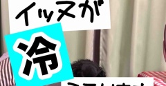 寒いイチニチ。