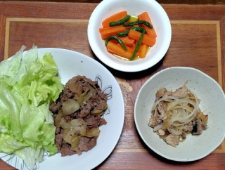 年末年始のお袋の介護について…