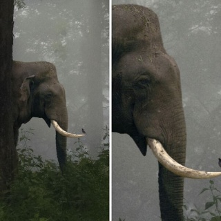 海外の万国反応記＠海外の反応