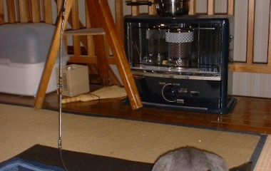 『2021年末特集③～天文ネコ３態　2021/12/31』の画像