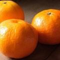 みかん