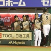 ハムファン怒りの集合 	