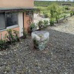 自然を満喫しよう！