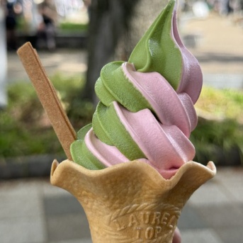 京都で限定ソフトクリーム巡り