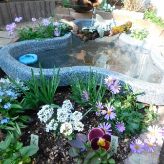 ブルーガーデンと花育て