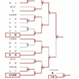 『【春季大会2026】3/29　中地区予選4試合の結果』の画像
