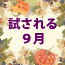＜後期試験桜組＞試される９月「福祉系科目４社会福祉」