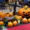 ハロウィン、今年もあちこちでカボチャを目にしますが、ひと頃のような盛り上がりは感じられない