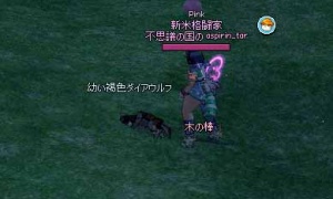 暗い…スワンスレイヤー 暗い 木の棒