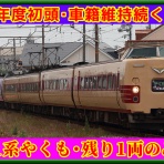 湘南色の部屋（Shonan-color train）