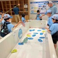 6月第2回ビーバー隊集会「ぎょ🐡ぎょ🐠ぎょ🐟」