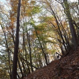 『奈良倉山と鶴寝山　-散り残り紅葉とチラ見富士-』の画像