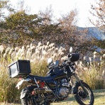 しっぽのトライアルあそび弐