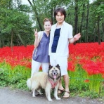保護犬☆一星14年間の物語