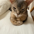 早寝派のぼくちんは、先にベッドに行く