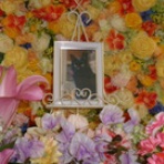 水戸ペットセレモニーのblog【ペット火葬・霊園・茨城・水戸市】