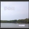 夢の処