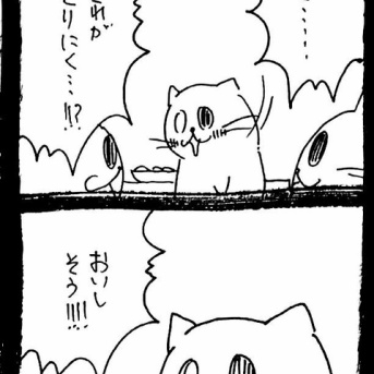 ドワーフキャットタオルちゃん72