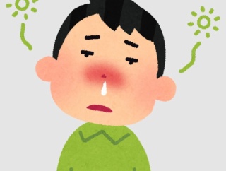 も、もしかして、花粉か…！？