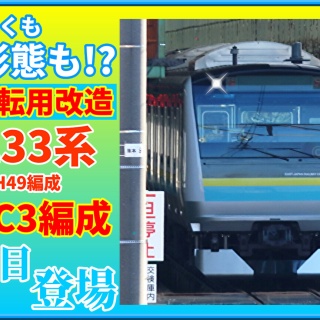 湘南色の部屋（Shonan-color train）