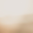 お姉ちゃんも見たの？