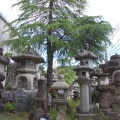 ２年で古びた地蔵になる石｜苔の付き方