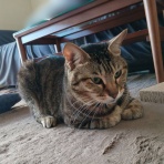 moroのハンドメイド