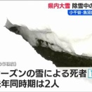 大雪による悲劇：17人の命を奪った除雪作業の現実