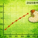 温度推移と幼虫の成長度【2025年度後半】／2本目以降の振り返り