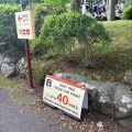 母娘箱根旅行 2026夏③