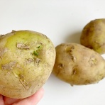  ニューうえいぶらぼ