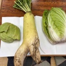 野球部弁当９６