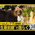 クマ被害ガチでヤバい　市街地でもクマに襲われる