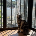銀誠ちゃん、ひさしぶり