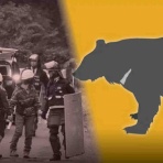 のとみいの日記