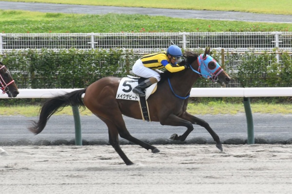 競馬ファンのこえ 和田竜二