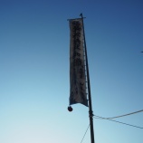 『【新穂】ひとつ成長』の画像