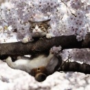 ギターボーカルの奴ｗｗｗ　音まとめアーカイブ